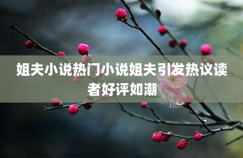 姐夫小说热门小说姐夫引发热议读者好评如潮