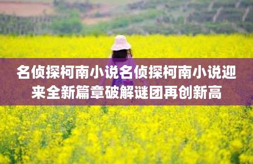 名侦探柯南小说名侦探柯南小说迎来全新篇章破解谜团再创新高