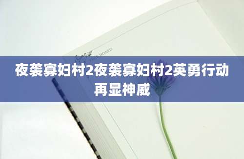 夜袭寡妇村2夜袭寡妇村2英勇行动再显神威