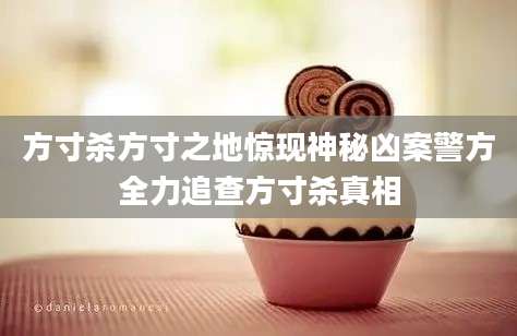 方寸杀方寸之地惊现神秘凶案警方全力追查方寸杀真相