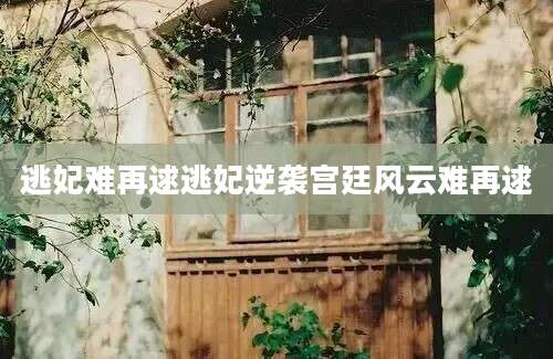 逃妃难再逑逃妃逆袭宫廷风云难再逑