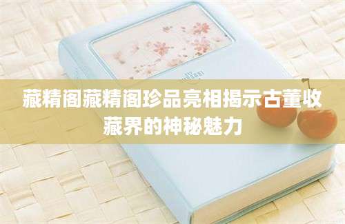 藏精阁藏精阁珍品亮相揭示古董收藏界的神秘魅力