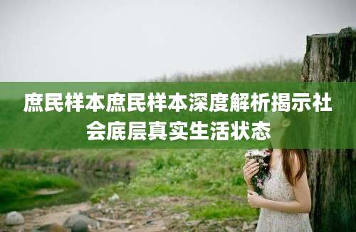 庶民样本庶民样本深度解析揭示社会底层真实生活状态