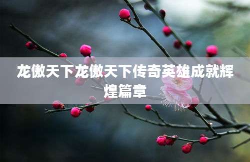 龙傲天下龙傲天下传奇英雄成就辉煌篇章