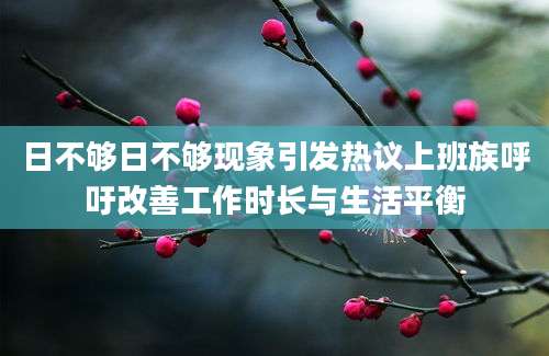 日不够日不够现象引发热议上班族呼吁改善工作时长与生活平衡