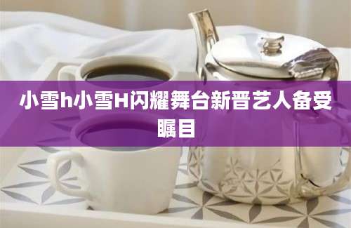 小雪h小雪H闪耀舞台新晋艺人备受瞩目