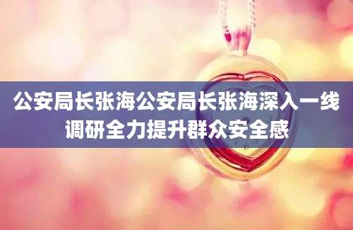 公安局长张海公安局长张海深入一线调研全力提升群众安全感