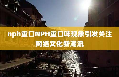 nph重口NPH重口味现象引发关注网络文化新潮流