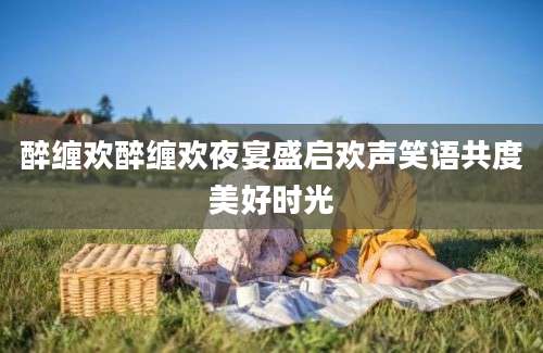 醉缠欢醉缠欢夜宴盛启欢声笑语共度美好时光