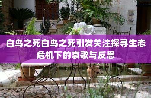 白鸟之死白鸟之死引发关注探寻生态危机下的哀歌与反思