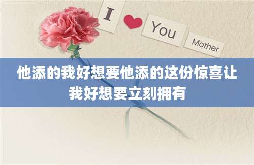 他添的我好想要他添的这份惊喜让我好想要立刻拥有