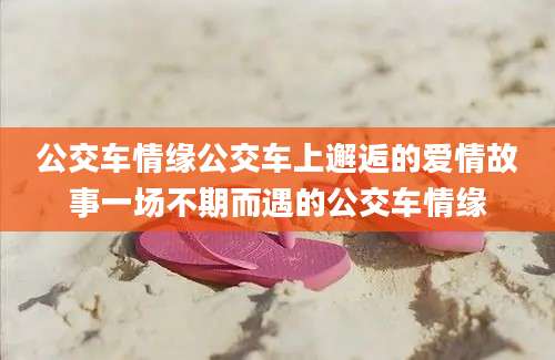 公交车情缘公交车上邂逅的爱情故事一场不期而遇的公交车情缘