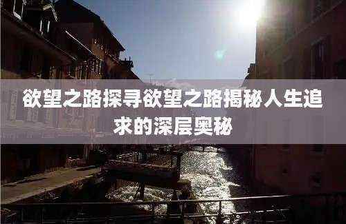 欲望之路探寻欲望之路揭秘人生追求的深层奥秘