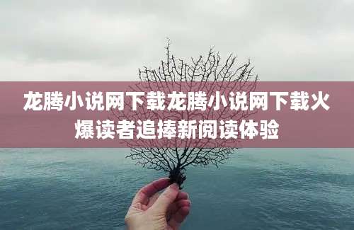 龙腾小说网下载龙腾小说网下载火爆读者追捧新阅读体验