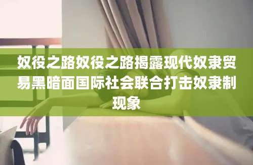 奴役之路奴役之路揭露现代奴隶贸易黑暗面国际社会联合打击奴隶制现象