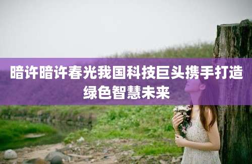 暗许暗许春光我国科技巨头携手打造绿色智慧未来