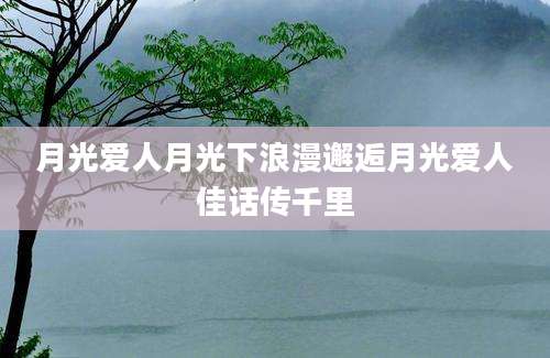 月光爱人月光下浪漫邂逅月光爱人佳话传千里