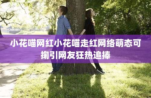 小花喵网红小花喵走红网络萌态可掬引网友狂热追捧