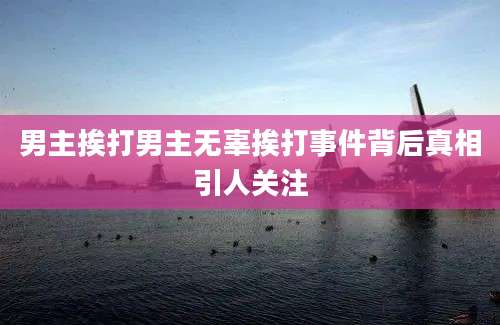 男主挨打男主无辜挨打事件背后真相引人关注
