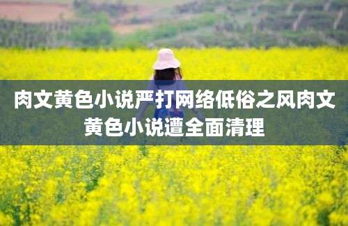 肉文黄色小说严打网络低俗之风肉文黄色小说遭全面清理