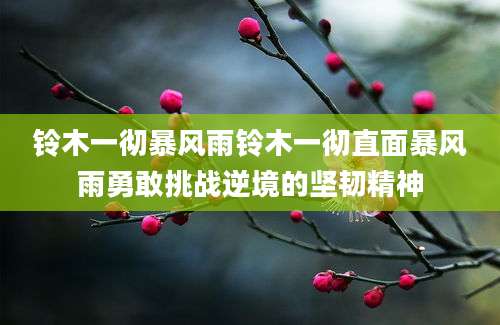 铃木一彻暴风雨铃木一彻直面暴风雨勇敢挑战逆境的坚韧精神
