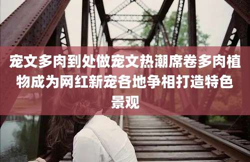 宠文多肉到处做宠文热潮席卷多肉植物成为网红新宠各地争相打造特色景观