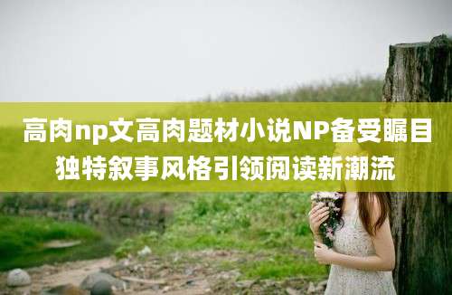 高肉np文高肉题材小说NP备受瞩目独特叙事风格引领阅读新潮流
