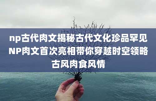 np古代肉文揭秘古代文化珍品罕见NP肉文首次亮相带你穿越时空领略古风肉食风情