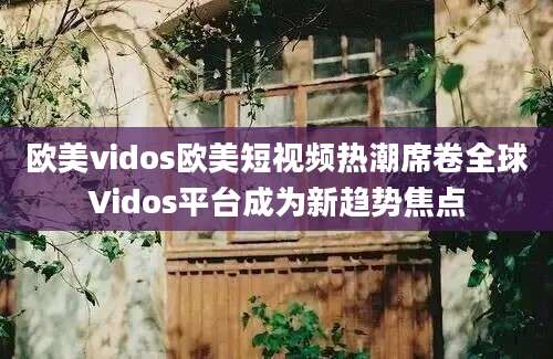 欧美vidos欧美短视频热潮席卷全球Vidos平台成为新趋势焦点
