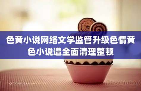 色黄小说网络文学监管升级色情黄色小说遭全面清理整顿