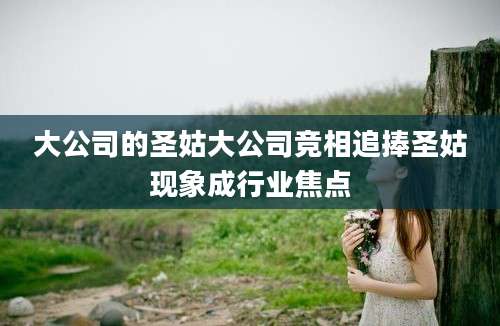 大公司的圣姑大公司竞相追捧圣姑现象成行业焦点