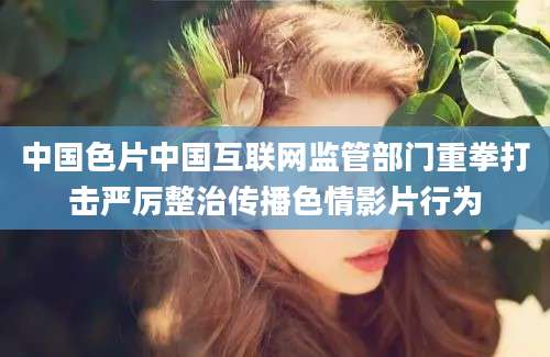 中国色片中国互联网监管部门重拳打击严厉整治传播色情影片行为
