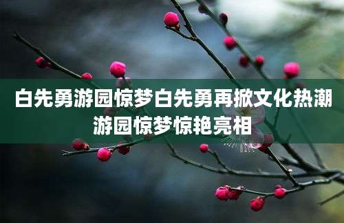 白先勇游园惊梦白先勇再掀文化热潮游园惊梦惊艳亮相