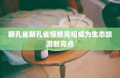 朝孔雀朝孔雀惊艳亮相成为生态旅游新亮点