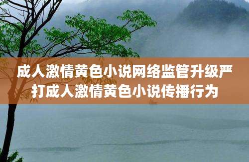 成人激情黄色小说网络监管升级严打成人激情黄色小说传播行为