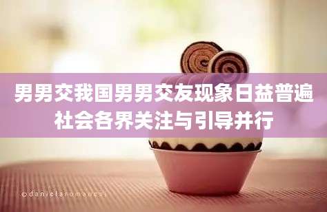 男男交我国男男交友现象日益普遍社会各界关注与引导并行