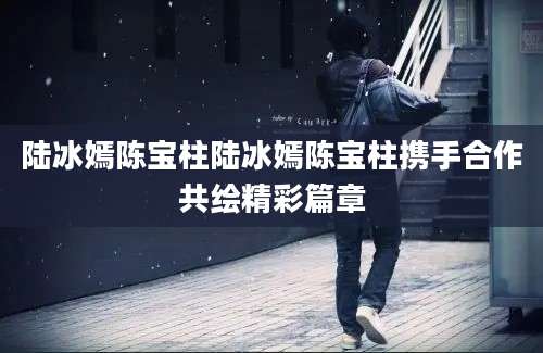 陆冰嫣陈宝柱陆冰嫣陈宝柱携手合作共绘精彩篇章