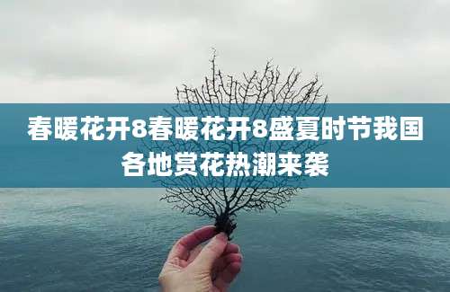 春暖花开8春暖花开8盛夏时节我国各地赏花热潮来袭