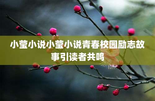 小莹小说小莹小说青春校园励志故事引读者共鸣