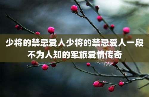 少将的禁忌爱人少将的禁忌爱人一段不为人知的军旅爱情传奇