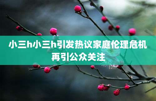 小三h小三h引发热议家庭伦理危机再引公众关注