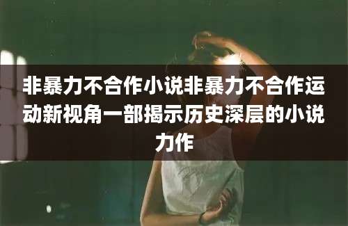 非暴力不合作小说非暴力不合作运动新视角一部揭示历史深层的小说力作