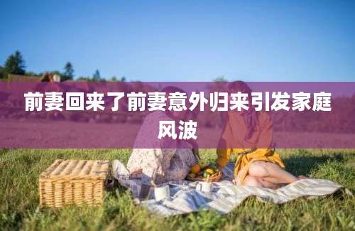 前妻回来了前妻意外归来引发家庭风波