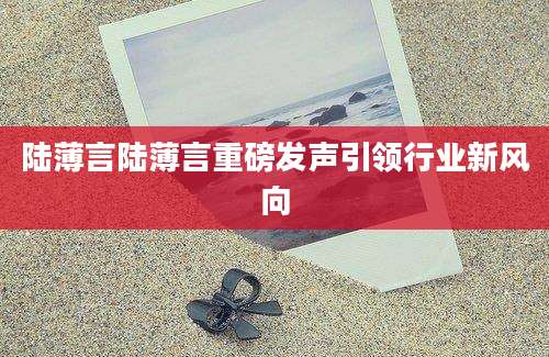陆薄言陆薄言重磅发声引领行业新风向