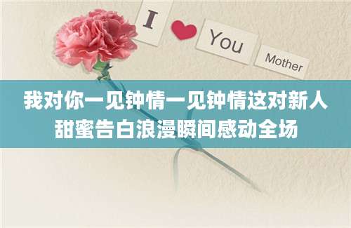 我对你一见钟情一见钟情这对新人甜蜜告白浪漫瞬间感动全场