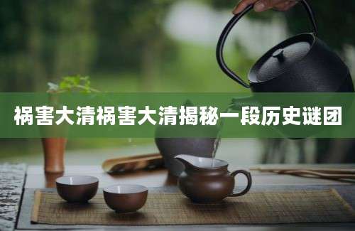 祸害大清祸害大清揭秘一段历史谜团