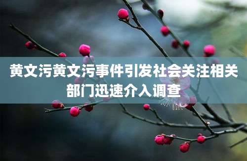 黄文污黄文污事件引发社会关注相关部门迅速介入调查