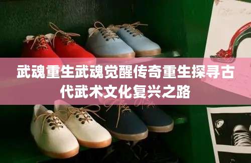 武魂重生武魂觉醒传奇重生探寻古代武术文化复兴之路
