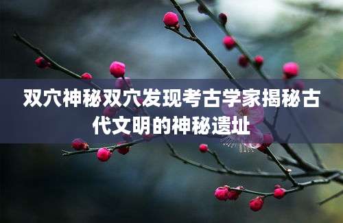 双穴神秘双穴发现考古学家揭秘古代文明的神秘遗址