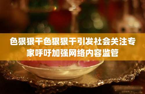 色狠狠干色狠狠干引发社会关注专家呼吁加强网络内容监管